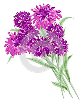 Watercolor vector drawing of bouquet  pink flowers with green leaves