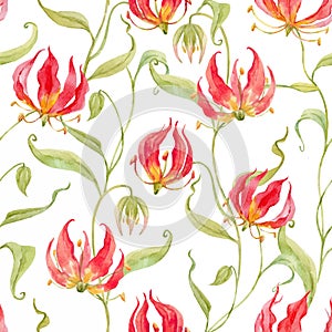 Watercolor vector gloriosa rothschildiana pattern