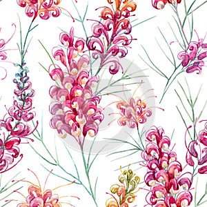 Watercolor vector grevillea pattern