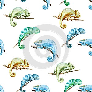 Watercolor vector pattern reptiles chameleon