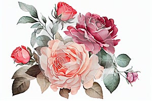 Watercolor vector roses composition stock Background