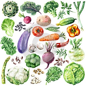 Watercolor Vegetables Set