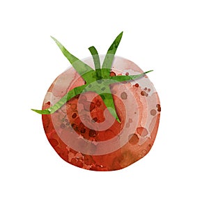 Watercolor vegetables tomato isolated on white background.Art. Eat.