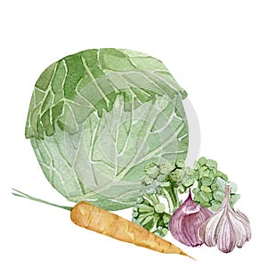 Watercolor vegeterian healthy food composition. Hand painted vegetable for design menu