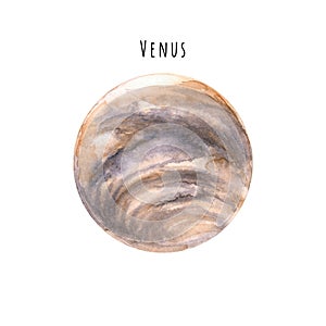 Watercolor Venus. Hand drawn illustration is isolated on white. Painted planet