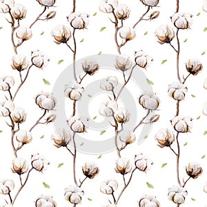 Watercolor vintage background with twigs and cotton flowers boho decoration. Softness Botanical watercolour seamless pattern