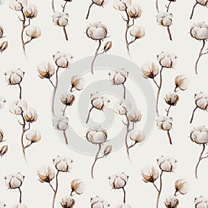 Watercolor vintage background with twigs and cotton flowers boho decoration. Softness Botanical watercolour seamless pattern