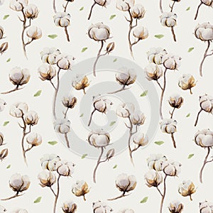 Watercolor vintage background with twigs and cotton flowers boho decoration. Softness Botanical watercolour seamless pattern