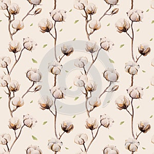 Watercolor vintage background with twigs and cotton flowers boho decoration. Softness Botanical watercolour seamless pattern