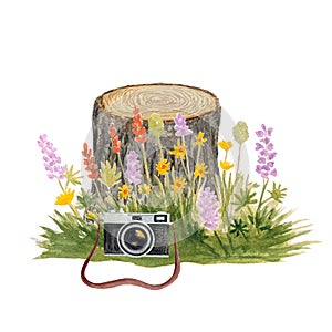 Watercolor vintage camera tree stump and wildflowers composition isolated on white.