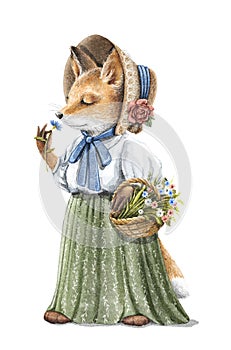 Watercolor vintage cartoon redhead fox in dress holding floral basket and sniffs flower