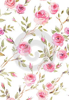 Watercolor vintage garden roses seamless pattern on white