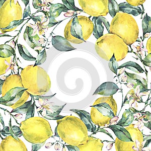 Watercolor vintage greeting card, branch of yellow fruit lemon