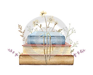 Watercolor vintage retro pile of books in different colors with meadow dried flowers