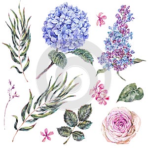 Watercolor vintage set floral elements, roses, lilac, blue hydrangea and wildflowers