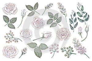 Watercolor vintage set of white roses, green leaves, lilac, eucalyptus in a pastel color for wedding, Women's