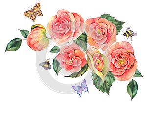 Watercolor vintage summer greeting card of pink blooming begonia flowers butterfly, bees