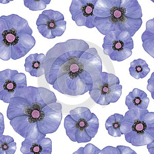 Watercolor violet flowers seamless pattern. Hand drawn botanical illustration isolated on white background. Bright field plant