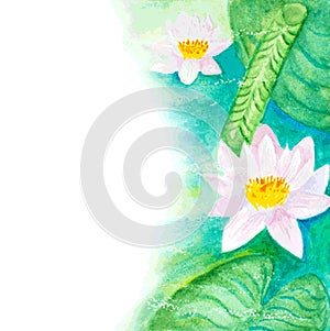 Watercolor water lillies background