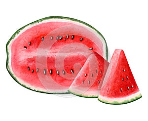 Watercolor watermelon oval half with triangle slices illustration. Hand drawn cut summer fruit clipart for juicy food