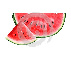 Watercolor watermelon slices of triangle and half round shape with seeds illustration. Delicious organic food
