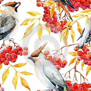 Watercolor waxwing and rowan pattern