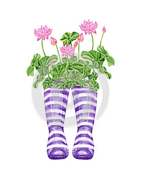 Watercolor wellies with flowers illustration in provence style. Rubber boots. Bouquet of flowers.