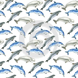 Watercolor whales pattern