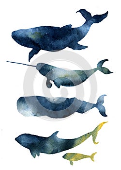 Watercolor whales set. Hand drawn sea animals silhouettes with sky texture. Prints with blue whale, harwhale, cachalot, orca