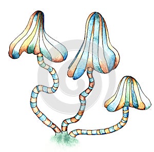 Watercolor whimsy tabby mushrooms