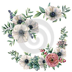 Watercolor white anemone, succulent and ranunculus bouquet set. Hand painted flower, eucalyptus leaves and berries