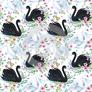 Watercolor white and black swan lake seamless pattern. Beautiful birds with flowers, leaves, berries on white background