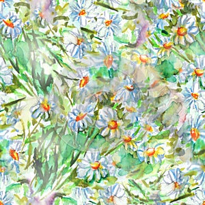 Watercolor white blue little chamomile daisy flowers and greenery seamless pattern textile texture background