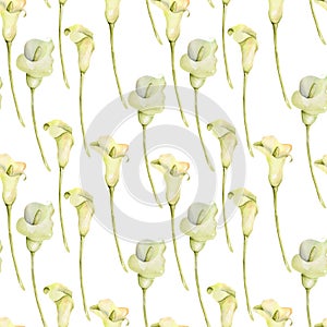 Watercolor white callas flowers seamless pattern