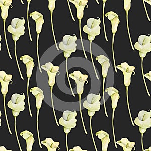 Watercolor white callas flowers seamless pattern