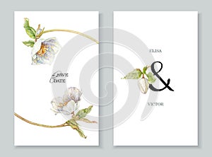 Watercolor white hellebore flowers wedding invitation cards