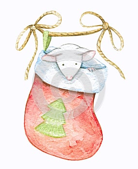 Watercolor white mouse in Christmas sock