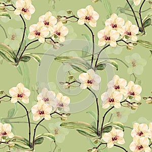 Watercolor white orchid on a limepeel background.Handiwork seamless pattern.