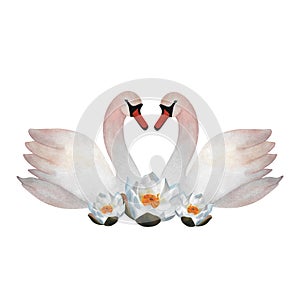 Watercolor white swan couple with waterlilies Two birds in love Cute for Valentine\'s day wedding 2024 logos poster