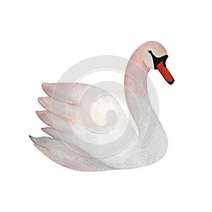 Watercolor white swan Graceful bird Animal cute For decor, wedding invitations, baby decor 2024, logos, postcards