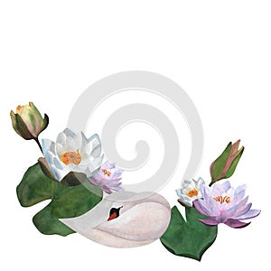 Watercolor white swan sleeping with waterlilies Cute for Women\'s day 2024, baby decor 2024, logos, posters Young