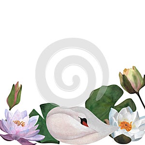Watercolor white swan waterlilies buds leaves Cute Women's day 2024 baby decor spa logos posters templates Floral