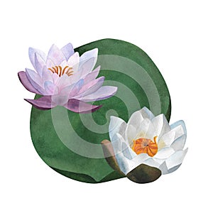 Watercolor white waterlily leaf Aquatic flower spa yoga logo Mother day Women's day 2024 botanic