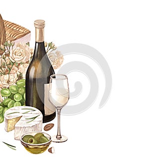 Watercolor white wine bottle and glass, green grapes, cheese, olive and flowers. Hand draw background with food objects