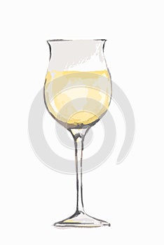 Watercolor white wine glass.