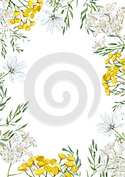 Watercolor white and yellow floral frame design witn hand drawn meadow wildflower, greenery twigs, foliage, leaves. Wedding invint