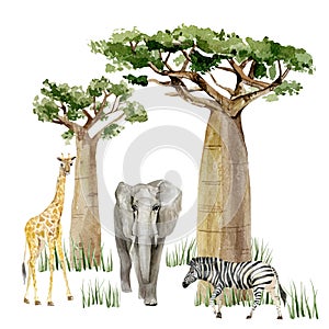 Watercolor wild Africa animal savannah Giraffe, Elephant, Zebra and tree savaanah. Nature Africa for greeting card