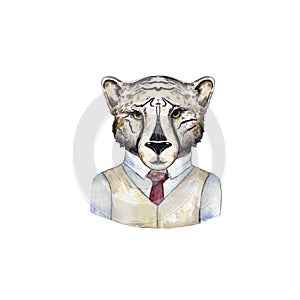 Watercolor wild cats. Tiger, leopard clip art, wild animal, drawing cheatah illustration, on white background