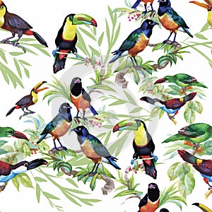 Watercolor Wild exotic birds on flowers seamless pattern on white background