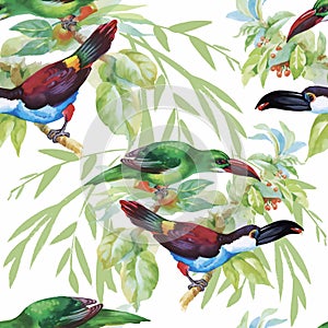 Watercolor Wild exotic birds on flowers seamless pattern on white background